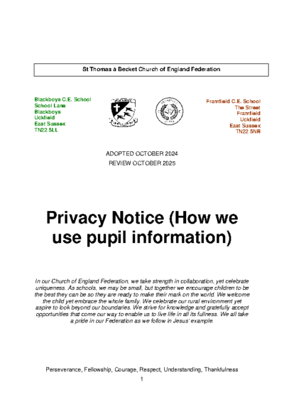 Privacy Notice (How we use pupil information)